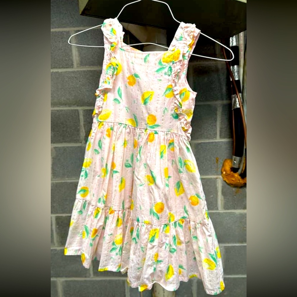 Oshkosh dress